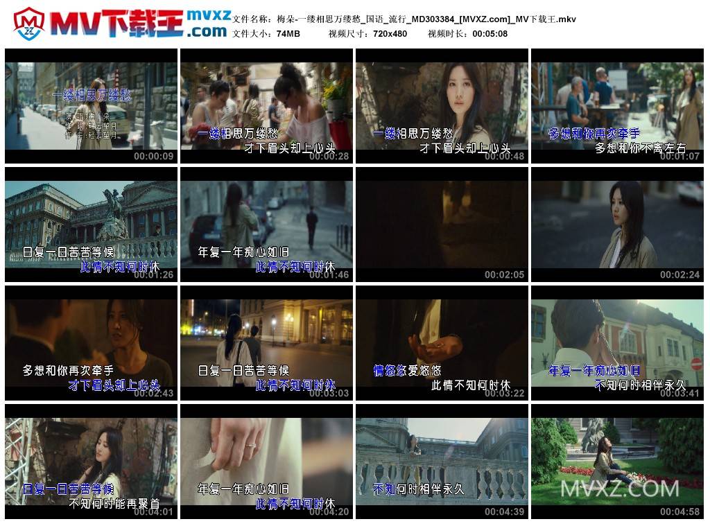 梅朵-一缕相思万缕愁_国语_流行_MD303384